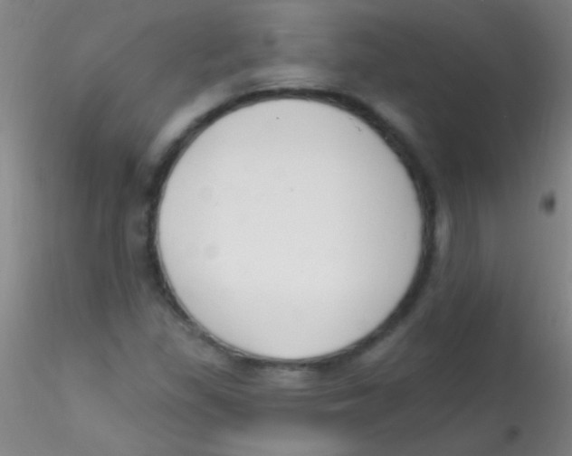 X0000115201309200911251433