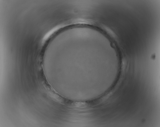 X0000115201310200911251433