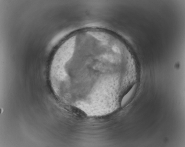 X0000115201311200911251433