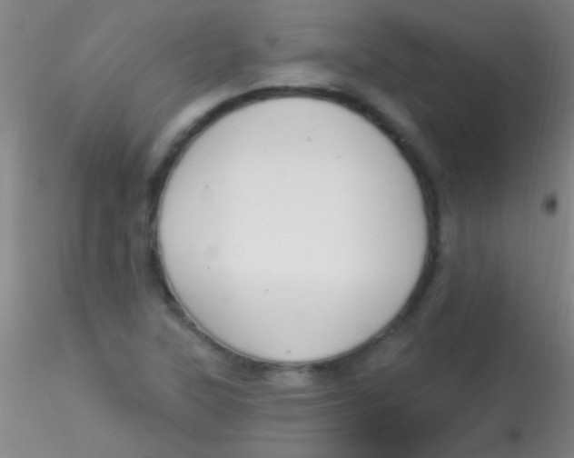 X0000115201315200911251433