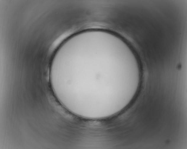 X0000115201317200911251433