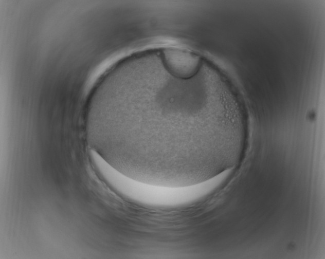 X0000115201318200911251433