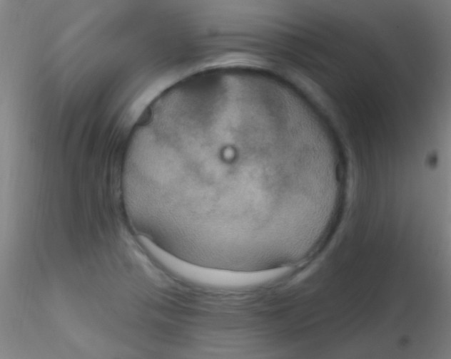 X0000115201321200911251434