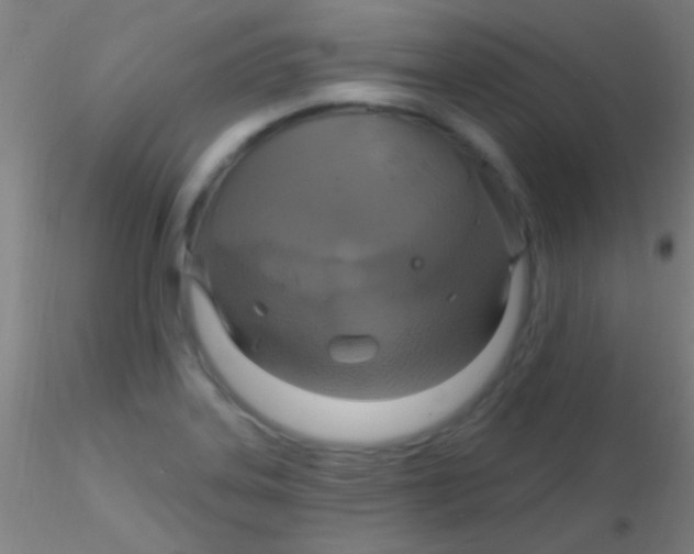 X0000115201323200911251434