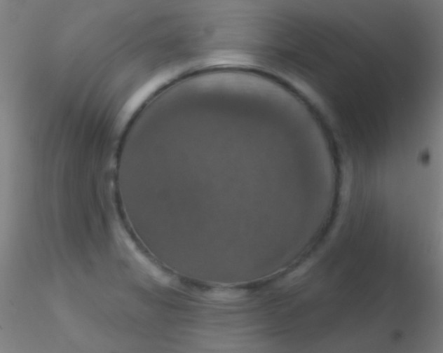 X0000115201325200911251434