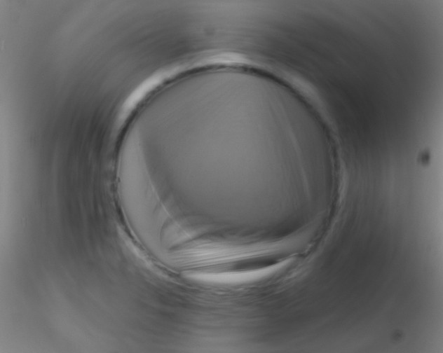 X0000115201326200911251434