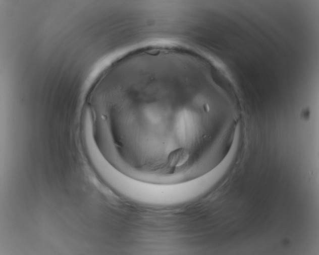 X0000115201327200911251434