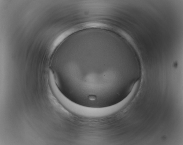 X0000115201330200911251434