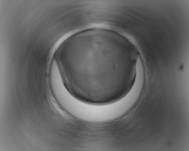 X0000115201331200911251434