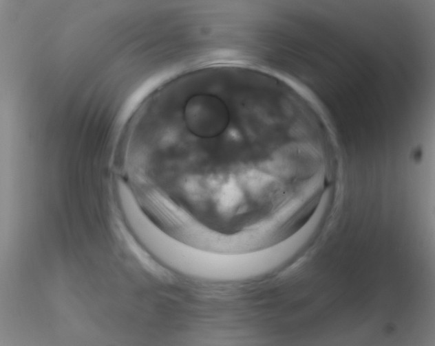 X0000115201333200911251434
