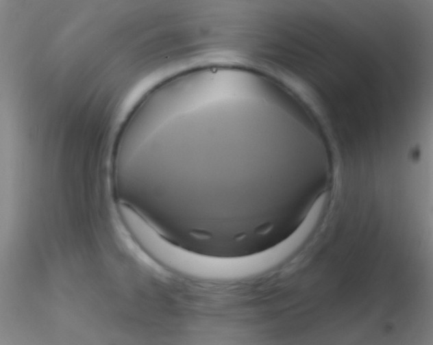 X0000115201334200911251434