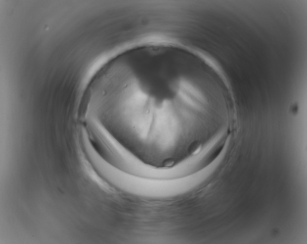 X0000115201335200911251434