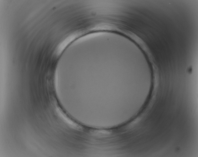 X0000115201337200911251434