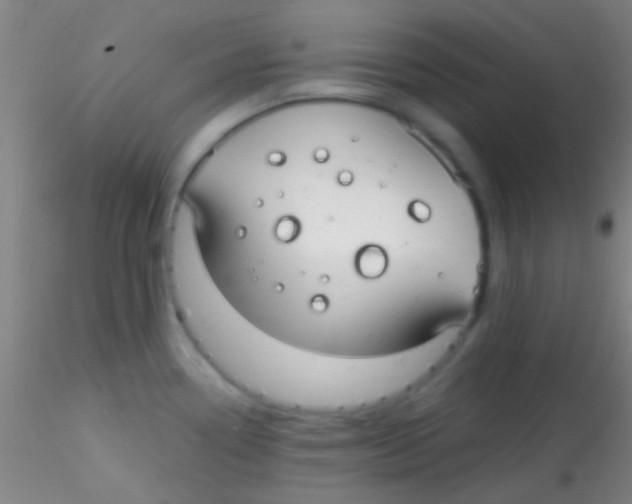 X0000115201338200911251434