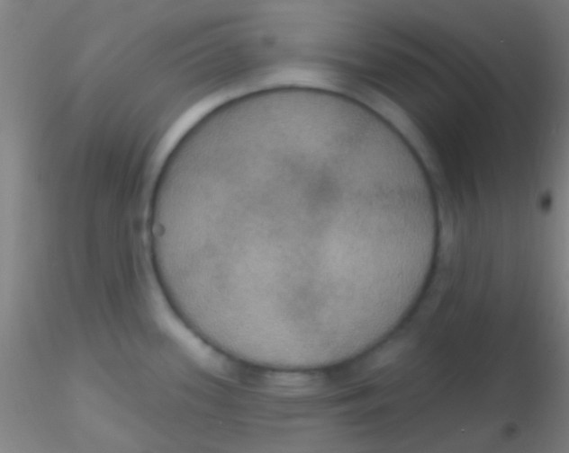 X0000115201339200911251434