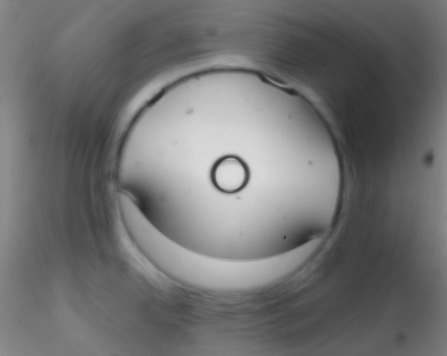 X0000115201342200911251434