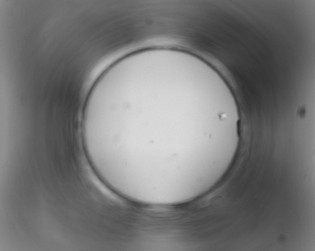 X0000115201343200911251434