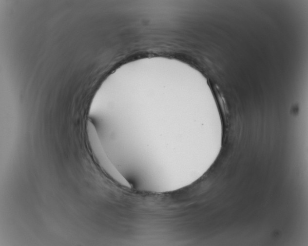 X0000115201345200911251433