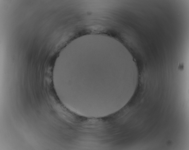 X0000115201346200911251433