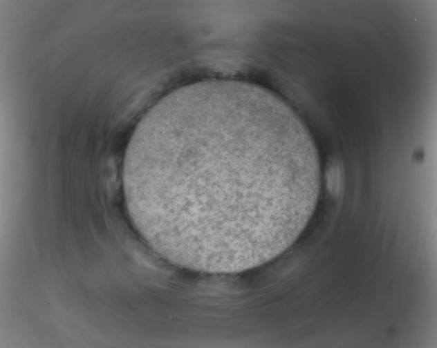 X0000115201347200911251433