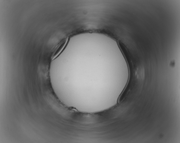 X0000115201348200911251433
