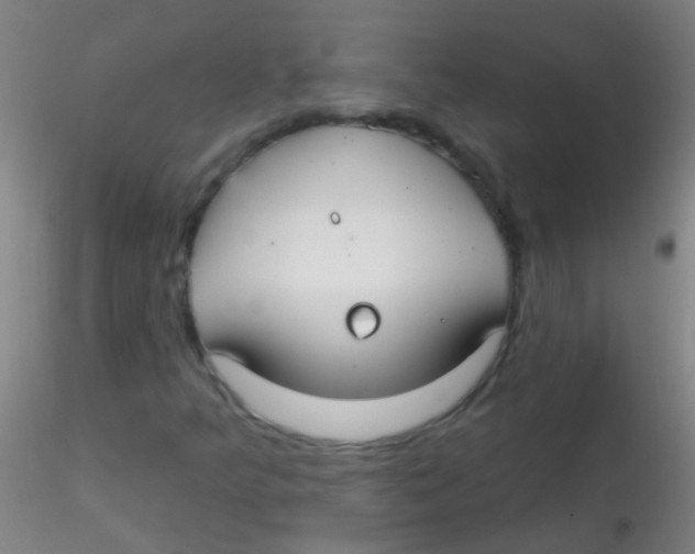 X0000115201349200911251433