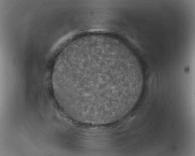 X0000115201351200911251433
