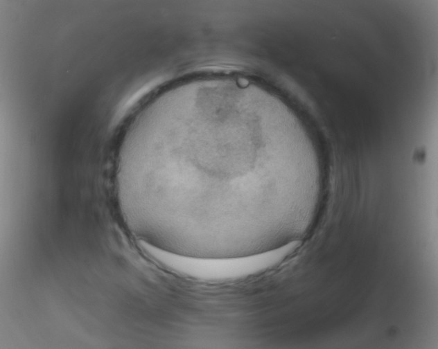 X0000115201352200911251433