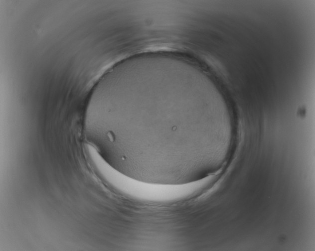 X0000115201353200911251433