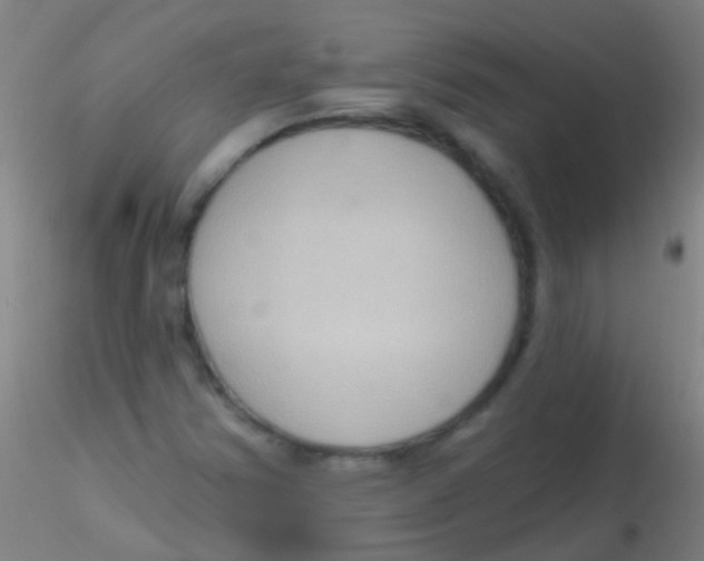 X0000115201354200911251433