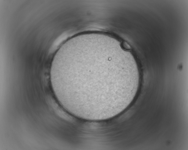 X0000115201355200911251433