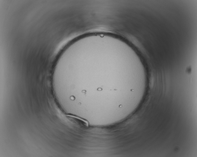 X0000115201356200911251433