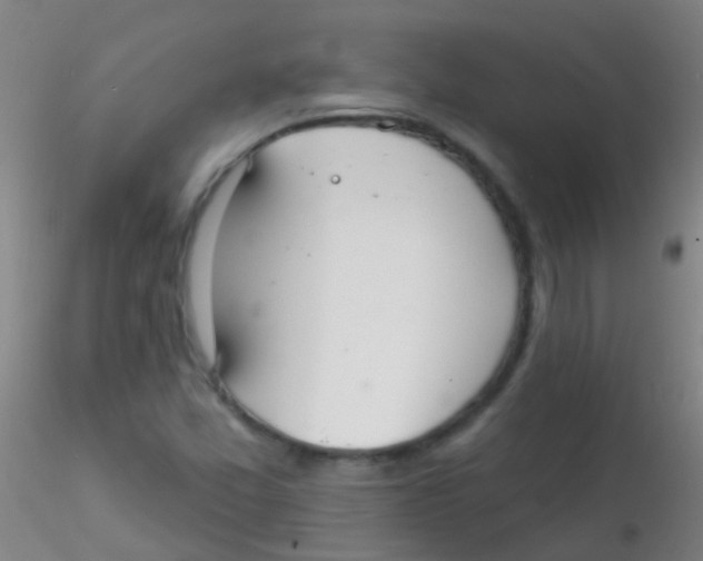 X0000115201357200911251433