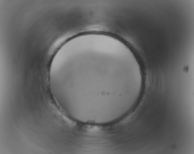 X0000115201358200911251433