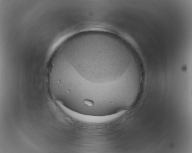 X0000115201360200911251433