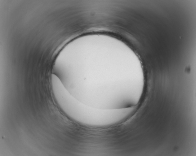 X0000115201361200911251433