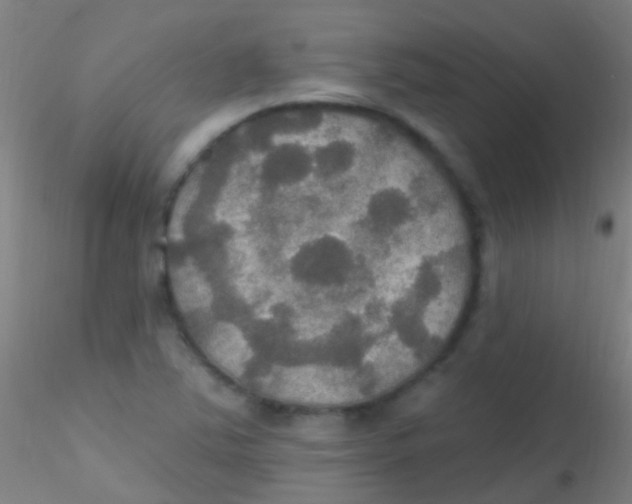 X0000115201363200911251433