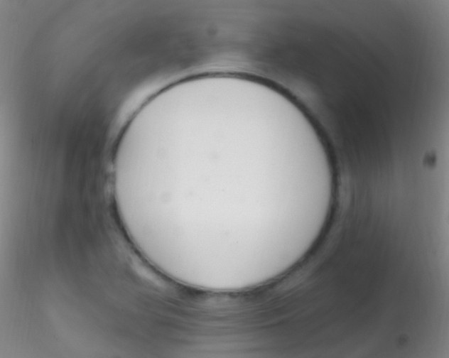 X0000115201366200911251433
