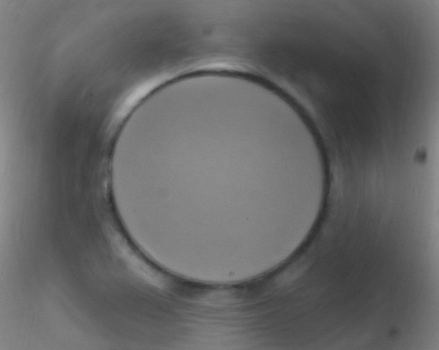 X0000115201367200911251433