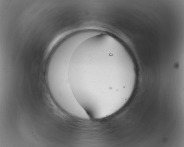 X0000115201368200911251433