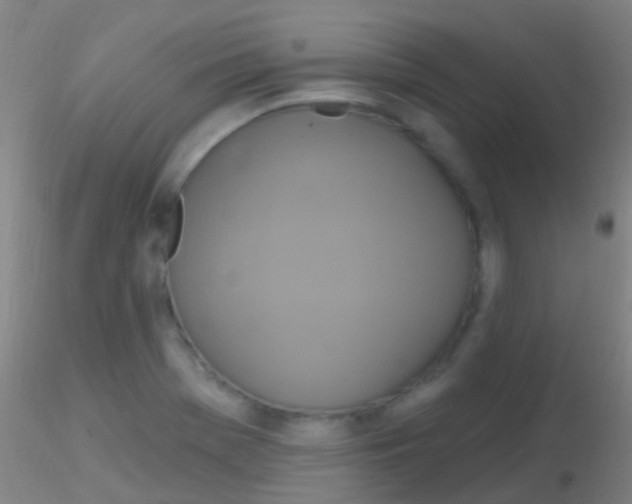 X0000115201369200911251433