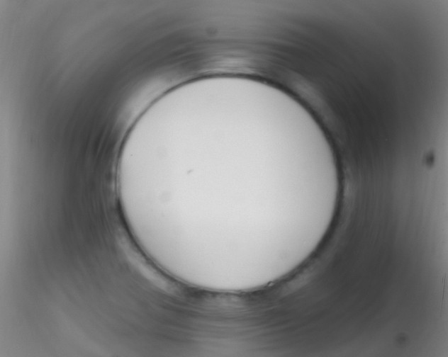 X0000115201370200911251433