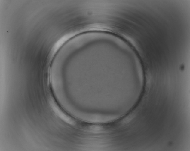 X0000115201371200911251432