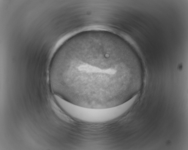 X0000115201372200911251432