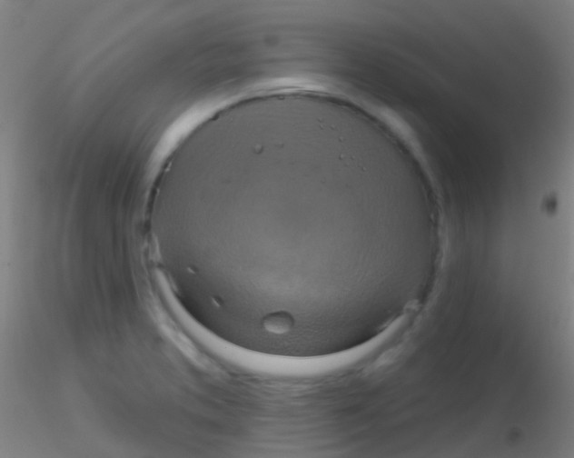 X0000115201373200911251432