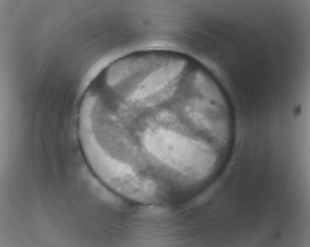 X0000115201374200911251432