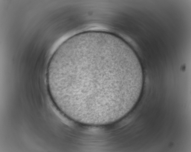 X0000115201375200911251432