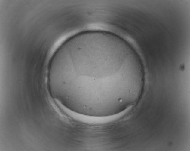 X0000115201376200911251432