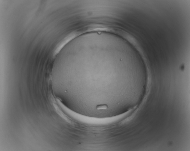 X0000115201377200911251432