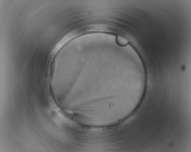 X0000115201378200911251432